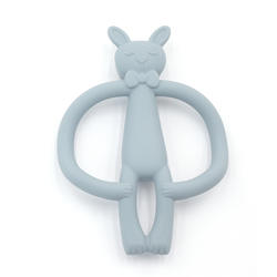 Toothbrush Teether