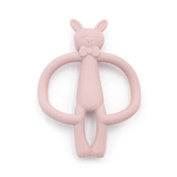 Toothbrush Teether