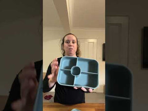 Silicone 5 Section Lunchbox